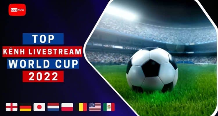TOP 7 Kênh Xem Livestream World Cup 2022 Mượt Mà Nhất