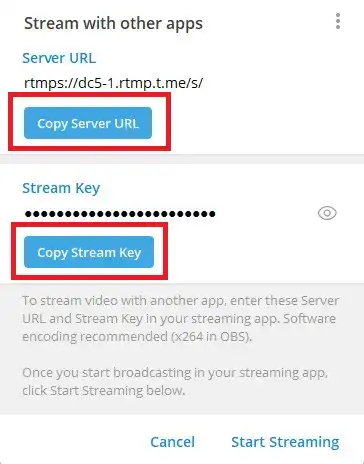Скопируйте URL-адрес сервера и ключ трансляции.