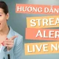 Hướng Dẫn Thêm Hộp Thông Báo Stream Alert Trên YouTube, Twitch, Facebook